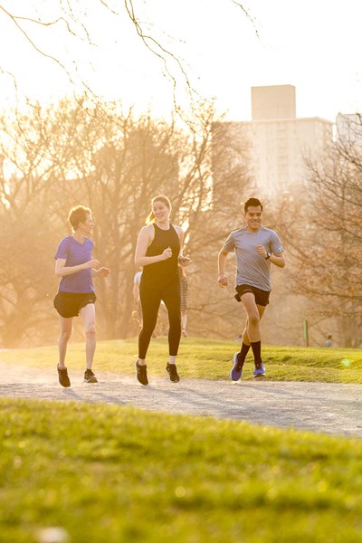 New York Road Runners Race Calendar 2019